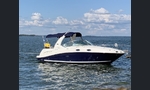 Sea Ray 275-kuva-16